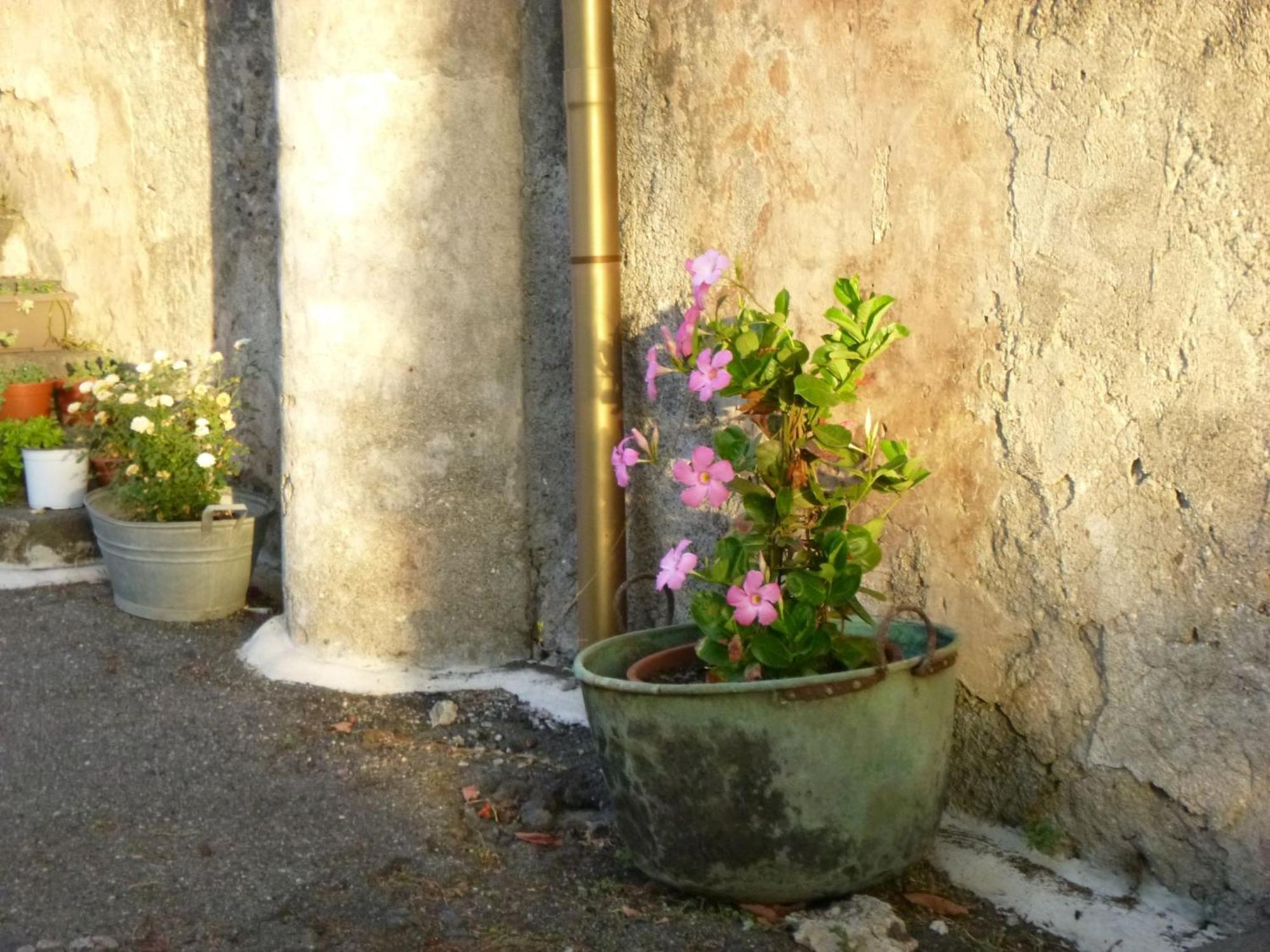 加里Baglio Delle Rose住宿加早餐旅馆 外观 照片