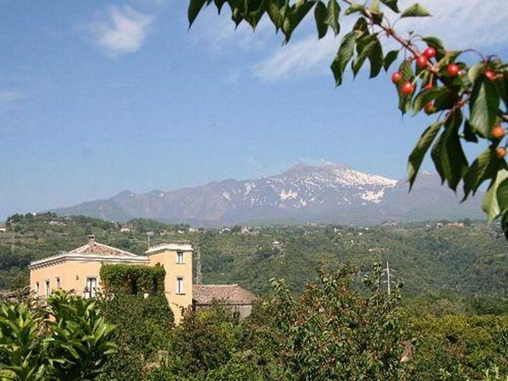 加里Baglio Delle Rose住宿加早餐旅馆 外观 照片